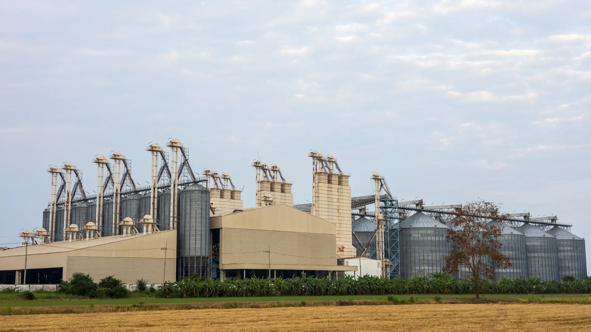 Milling & Steaming Operations