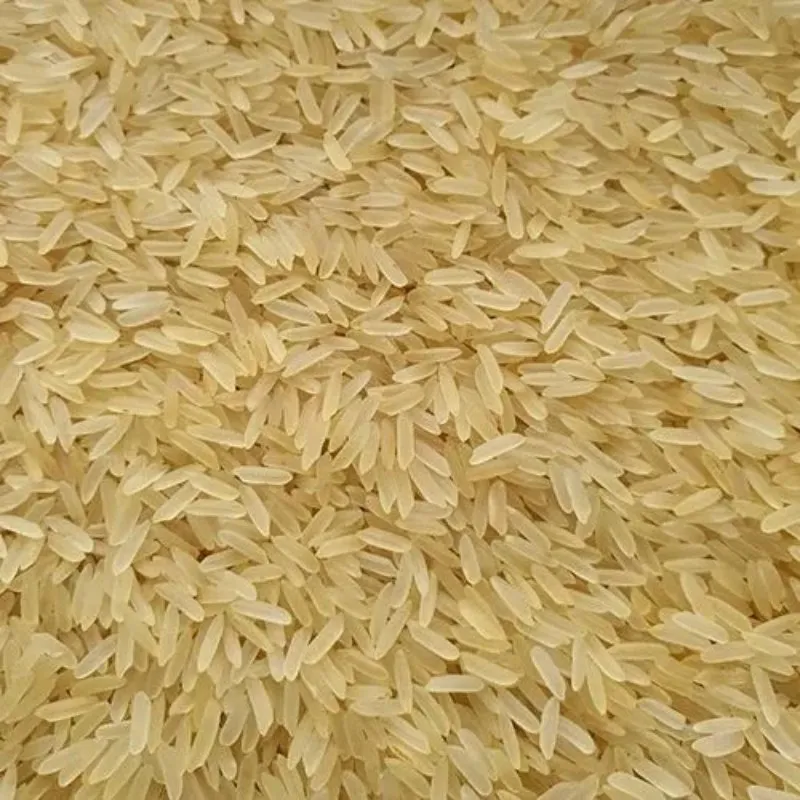 PR11 Golden Rice
